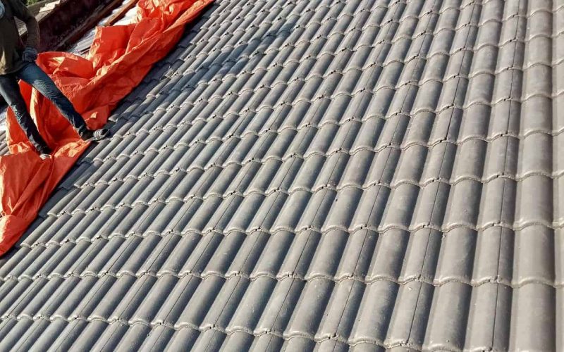 WhatsApp Image 2025-12-01 at 6.50.46 PM (1)