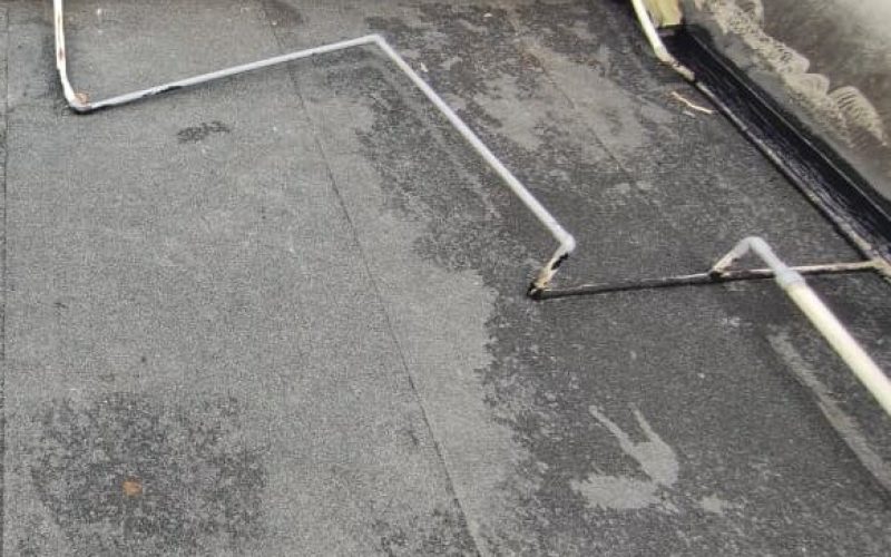 WhatsApp Image 2026-01-05 at 11.20.51 AM